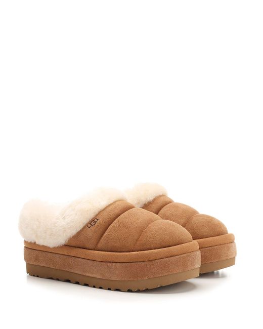 Ugg Brown Tazzlita Scarpe Basse