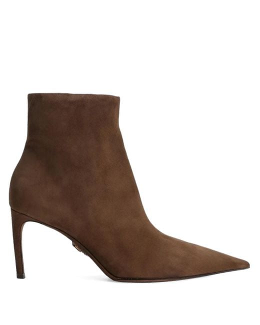 Dolce & Gabbana Brown Devotion Pointed-Toe Ankle Boots 75Mm