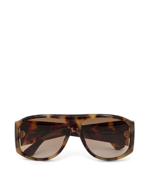 Chloé Brown Acetate Sunglasses