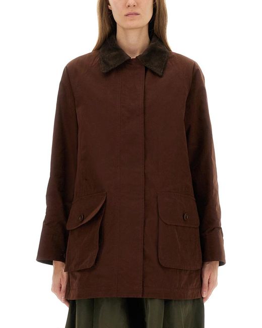 Cotton Blend Canvas Jacket-Donna di Aspesi in Brown