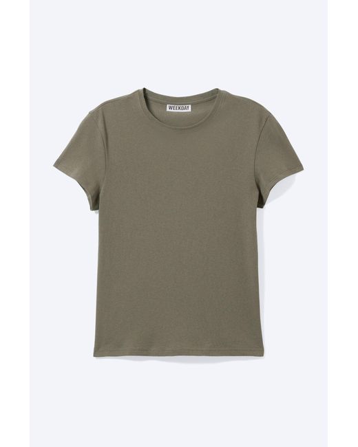Weekday Multicolor Slim Short-Sleeved Cotton T-Shirt