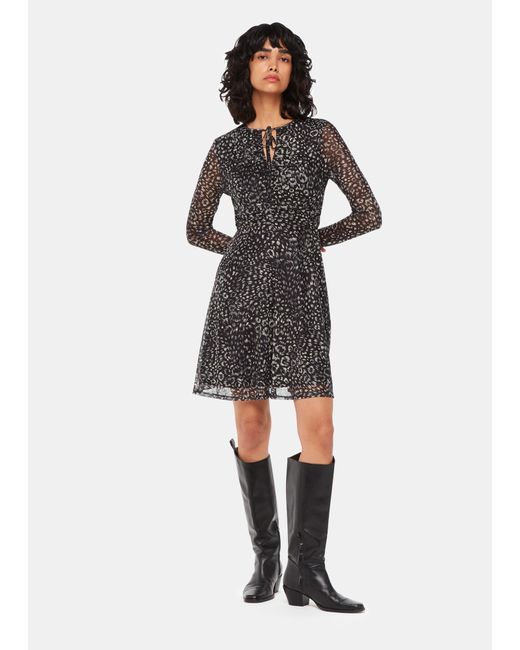 Whistles Black Feather Leopard Flippy Dress