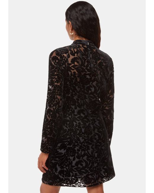 Whistles Black Petite Hot Fix Floral Velvet Dress