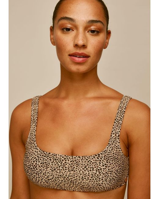 Whistles Brown Mini Leopard Square Bikini Top