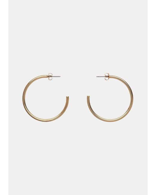 Whistles Brown Large Classic Hoop Earring