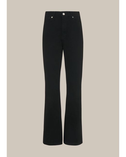 whistles flared jeans