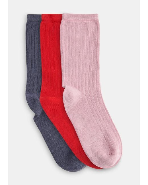 Whistles Red Ribbed Socks Set Of 3