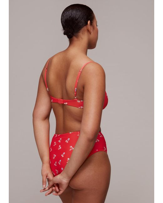 Whistles Red Fish Printed Bikini Top