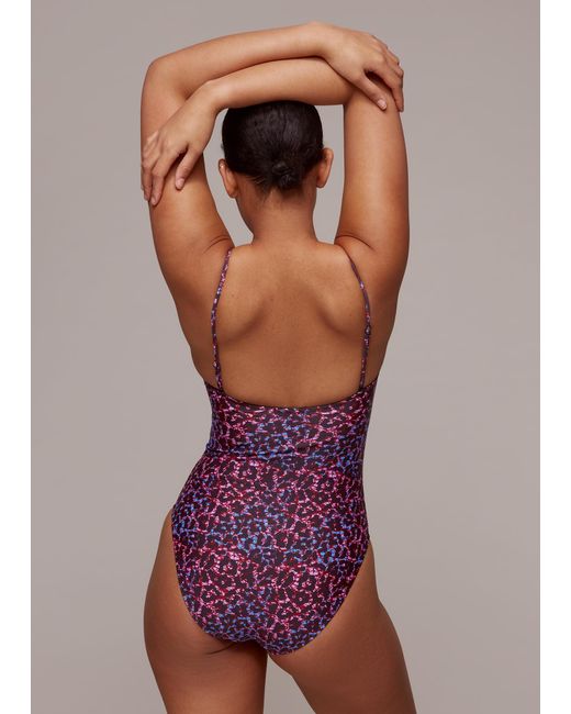 Whistles Brown Animal Printed Swimsuit
