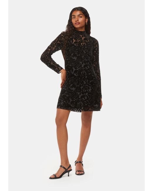 Whistles Black Petite Hot Fix Floral Velvet Dress