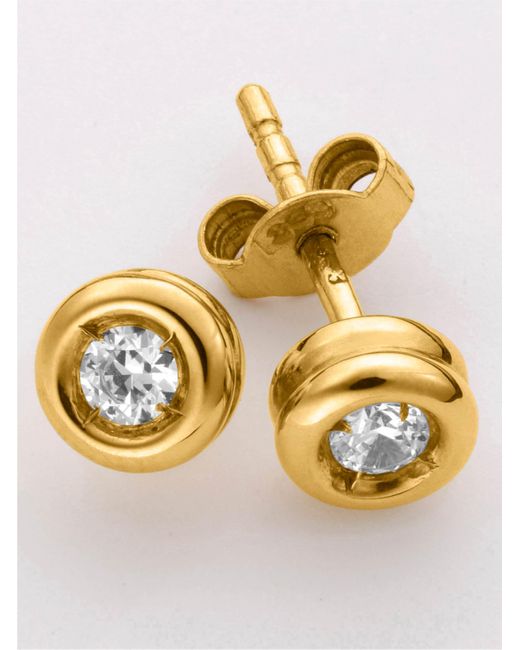 WITT Brown Ohrstecker