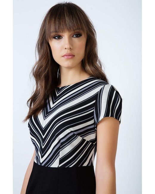 Conquista Black Stripe Detail Straight Dress