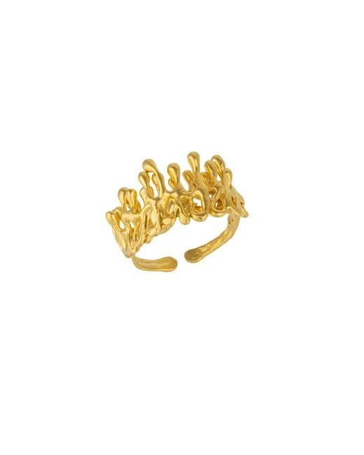 Mejoma Metallic Dripping Large Melting Ring