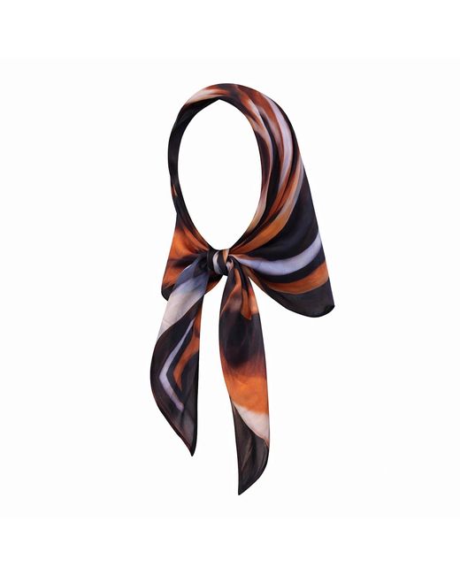 Animal Black Escargot Headscarf