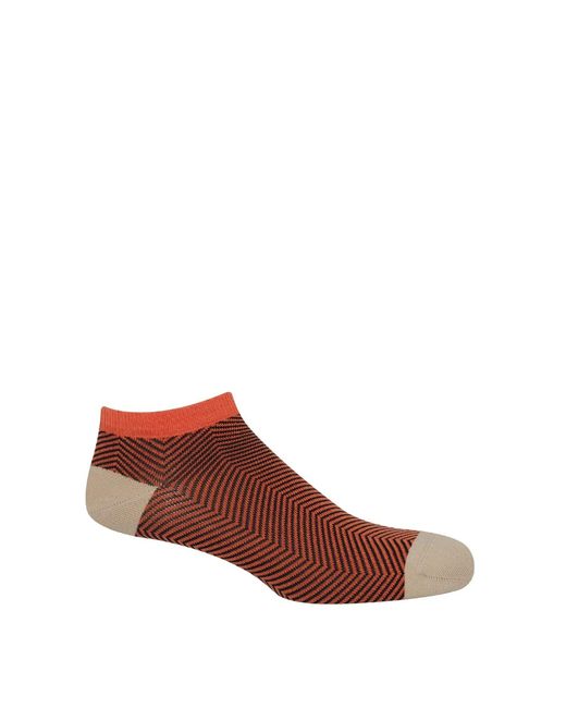 Peper Harow - Made in England Brown Lux Taylor Luxury Crew & Trainer Socks Bundle for men