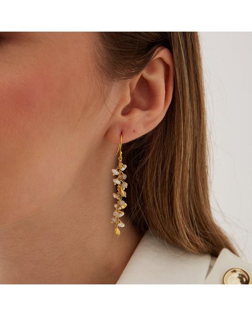 Spero London Metallic Multiple Baroque Pearl Drop Sterling Earring