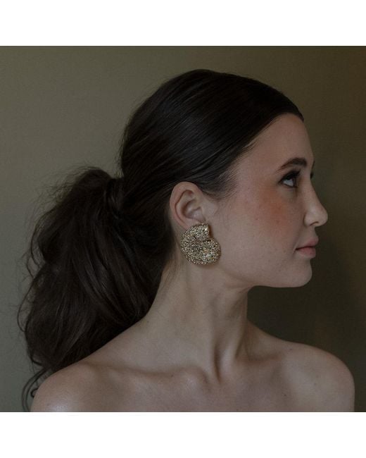 Zepplin the Label Metallic Nautilus Earrings