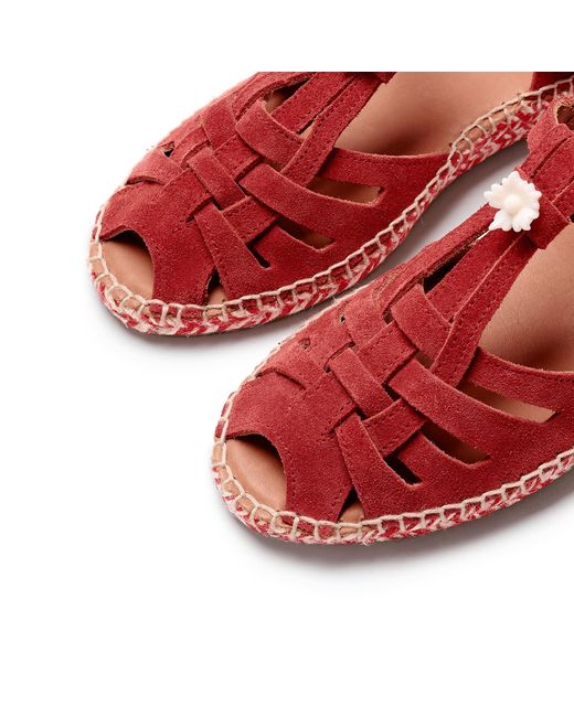 Naguisa Red Musel Bicolor