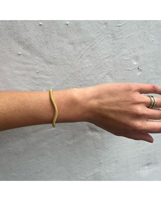 Coco & Kinney Metallic Delphi Adjustable Twist Bangle
