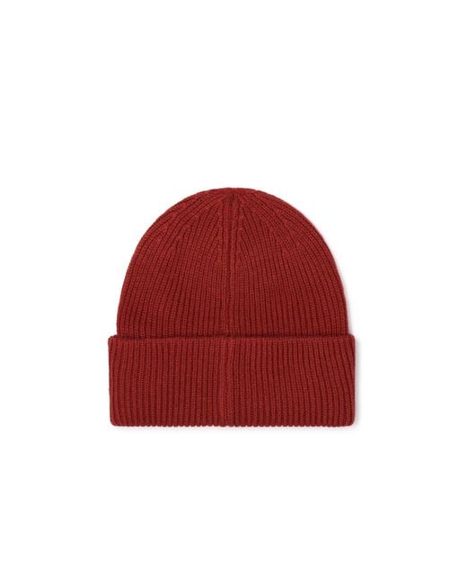 Arctic Fox & Co. Red Recycled Bottle Beanie