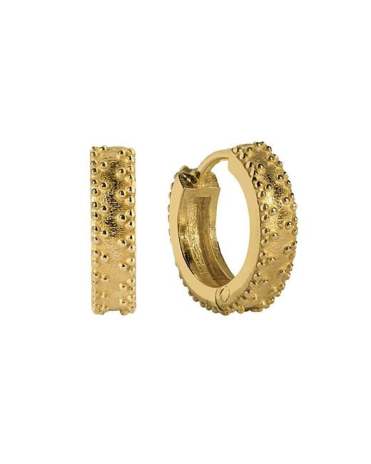 Charlotte's Web Jewellery Metallic Rania Huggie Hoop Earrings