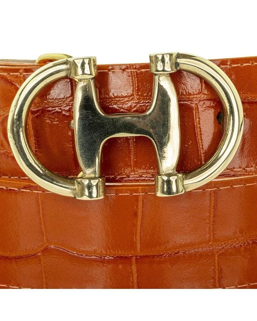 Peachy Belts Ltd Brown Chestnut Suede Belt With Detachable Double D Buckle