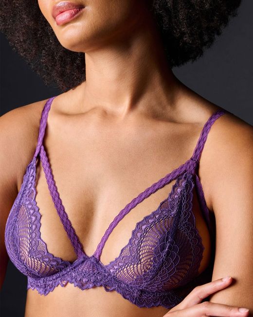 Journelle Purple Natalia Underwire Bra Violette