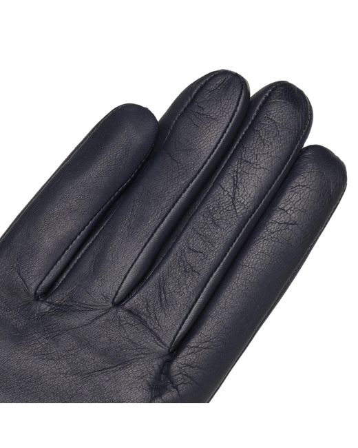 1861 Glove Manufactory Blue Trani