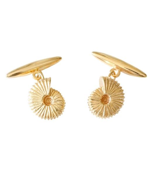 Lee Renee Metallic Ammonite Cufflinks– for men