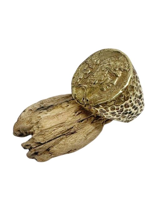 Tg-Jewellery by Tamara Gervasio Metallic Chunky Roman Coin Ring