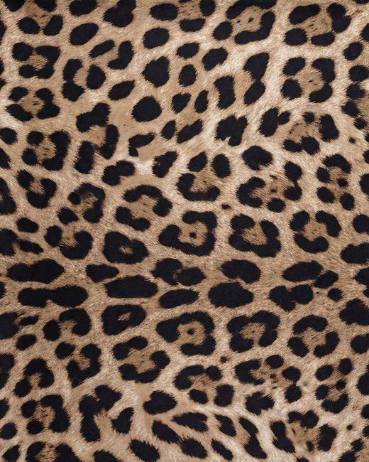 Lords of Harlech White Raquel Leopard Bikini Top