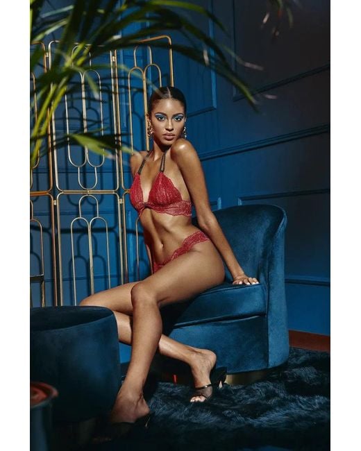 Bracli Pink Sydney Dark Bra