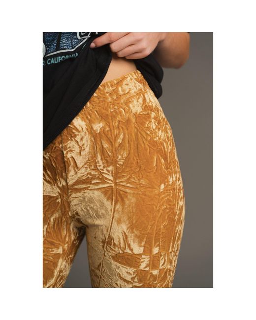 Little Lies Natural Hendrix Ochre Velvet Flares