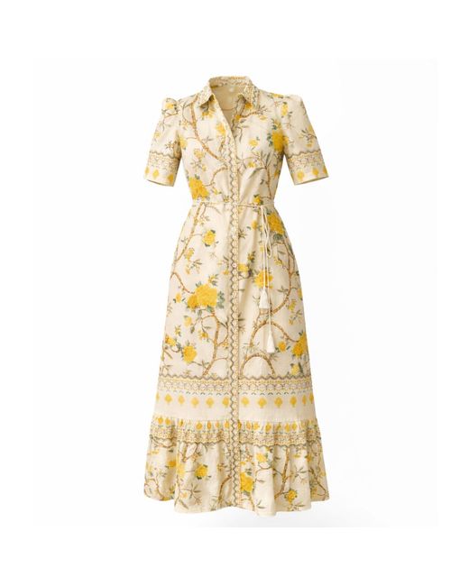 Raishma Metallic Miranda Dress