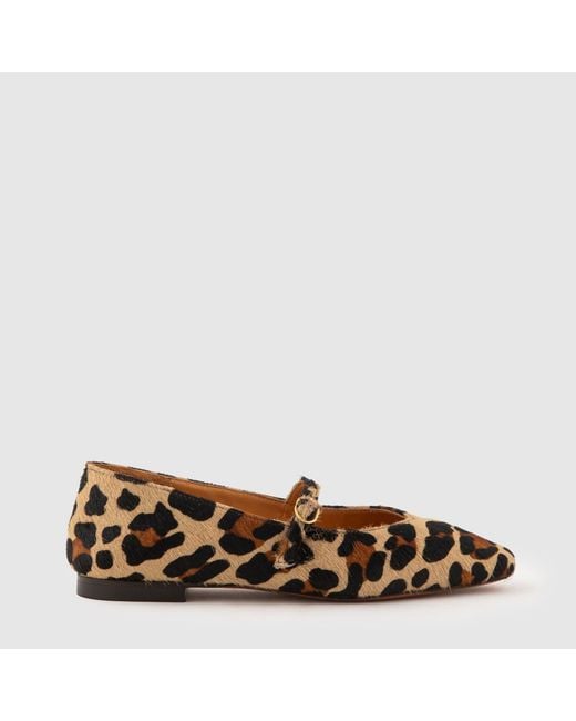 Mariano Shoes Brown Cacia Ballerina Leopard
