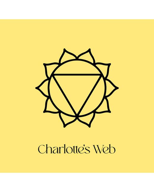 Charlotte's Web Jewellery Metallic Solar Plexus Chakra Necklace