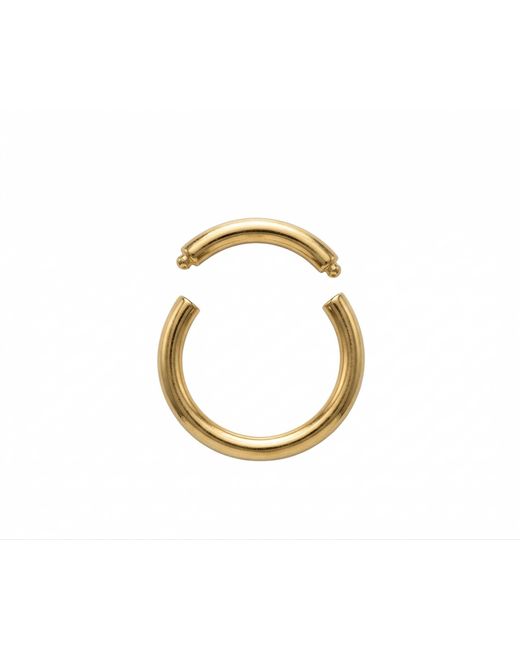 Zahav Jewelry Metallic 14K Solid Captive Segment Clicker Hoop
