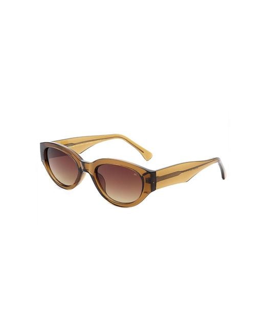 A.Kjærbede Brown Winnie Smoke Transparent Sunglasses for men