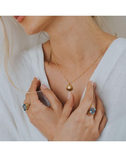 Dainty London Metallic Solid Seashell Necklace