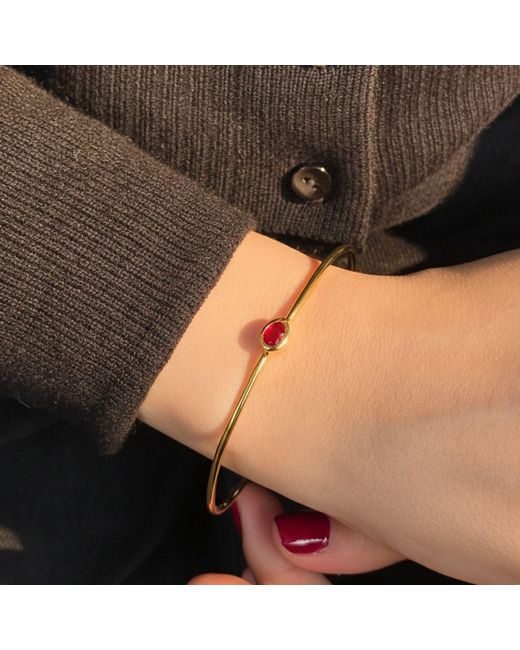 Harfi Metallic Garnet January Birthstone Plated Bangle