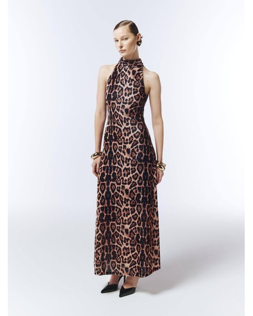 Sour Figs Brown Neutrals Halterneck Leopard Velvet Maxi Dress