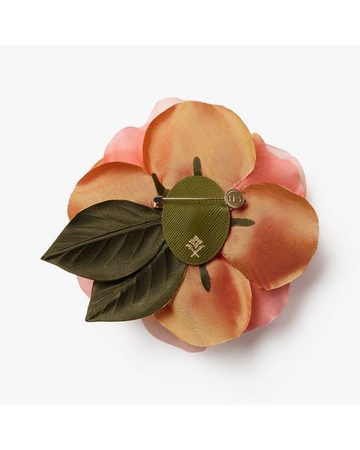 Helena Simon Orange The Peach Open Rose Floral Brooch
