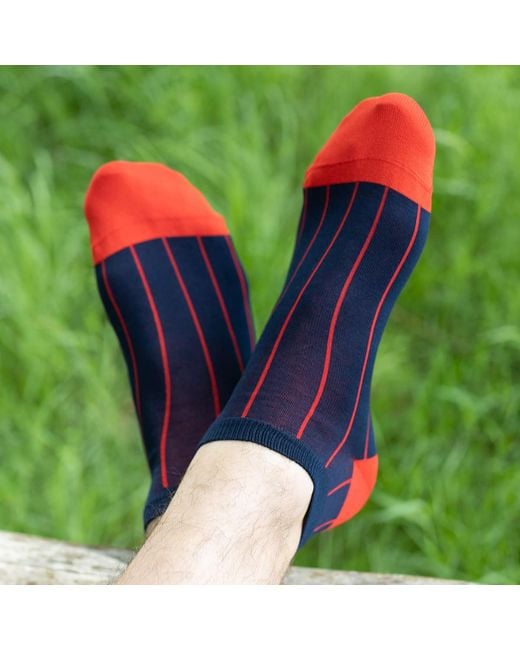 Peper Harow - Made in England Gray Pin Stripe & Luxury Crew & Trainer Socks Bundle for men