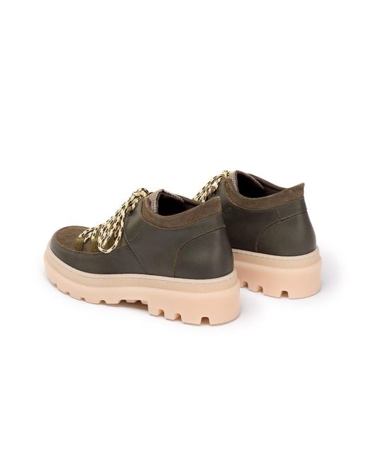 Naguisa Brown Abra Oliva Check