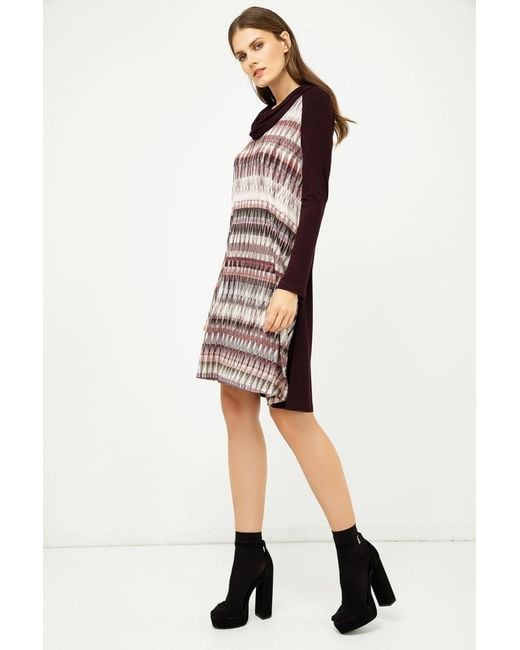 Conquista Brown A Line Print Dress With Turtle Neck