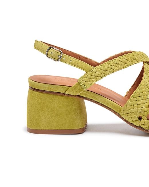 Naguisa Yellow Uga Rounded Pistachio