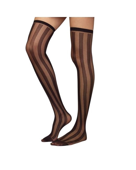 HIGH HEEL JUNGLE by KATHRYN EISMAN Brown Crue Striped Thigh High Sock