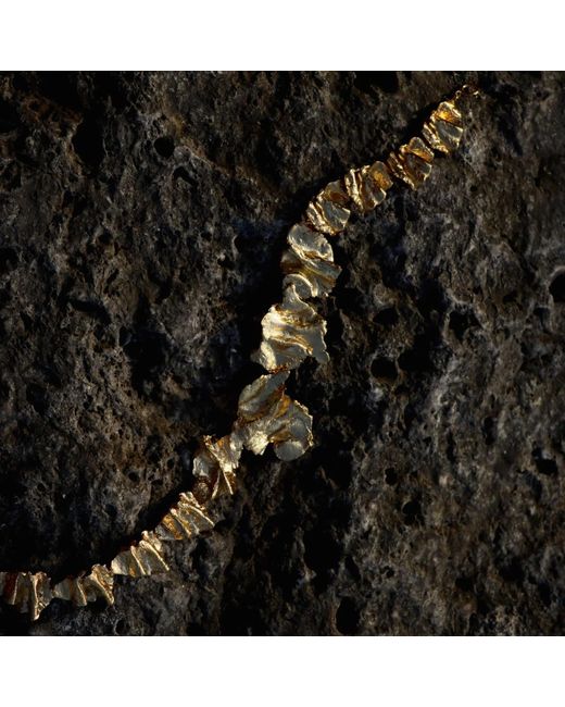 EVA REMENYI Metallic Artemis Choker