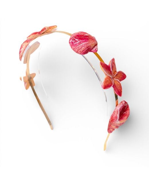 Sunset Magic Studio Red Siren Bloom