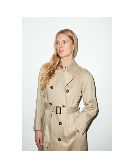 Hegarty Natural Neutrals Trench Coat